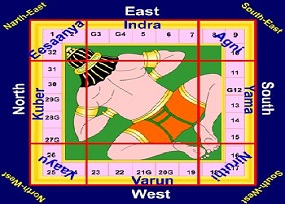  best astrologer in india